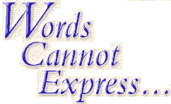 Words Cannot Express